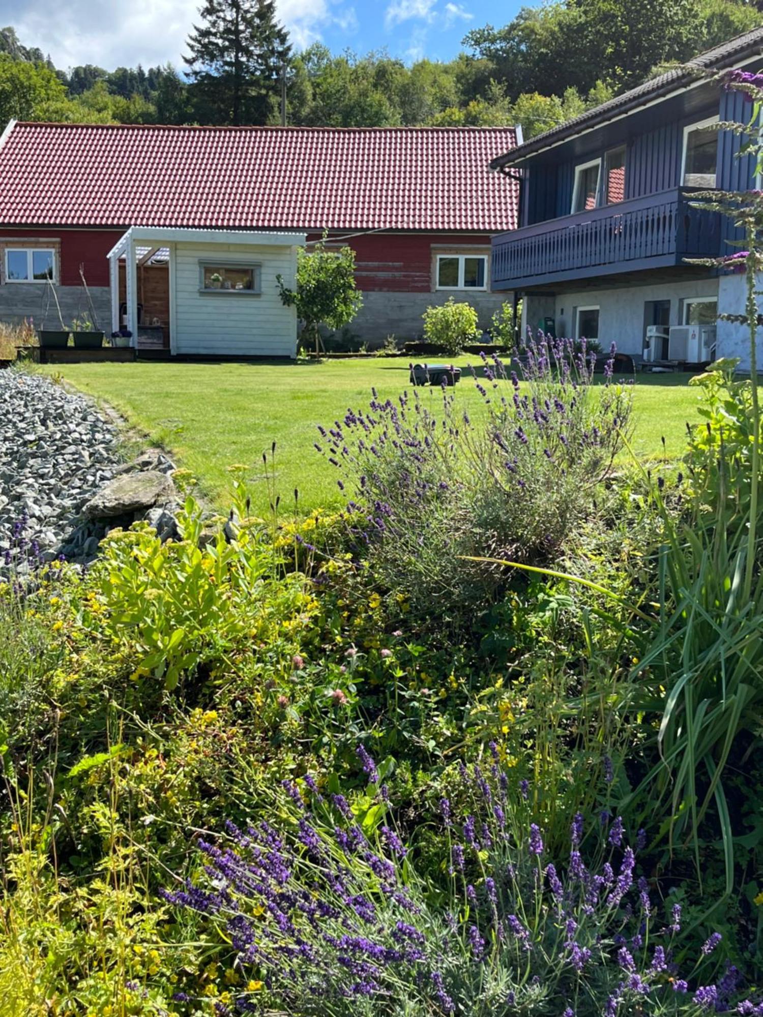 Apartmán Kjolevik Jørpeland Exteriér fotografie